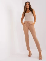 Spodnie dresowe RV DR model 18861847 camelowy - FPrice