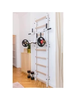 GYMNASTICKÝ REBRÍK S NASTAVITEĽNOU KOVOVOU TYČOU 731W BENCHK