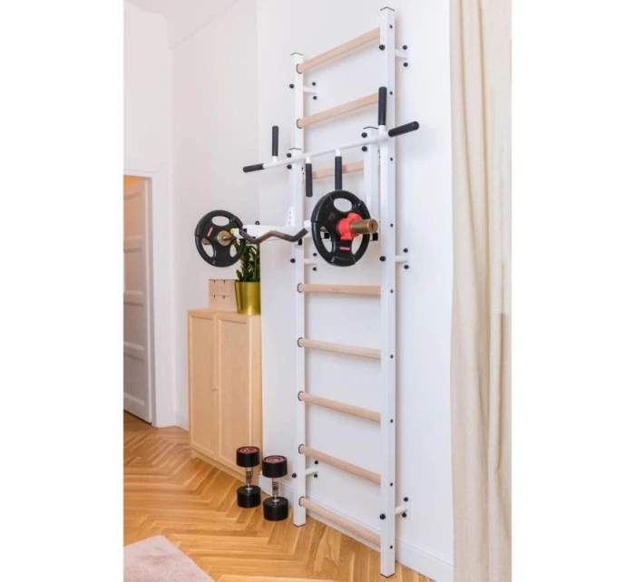 GYMNASTICKÝ REBRÍK S NASTAVITEĽNOU KOVOVOU TYČOU 731W BENCHK