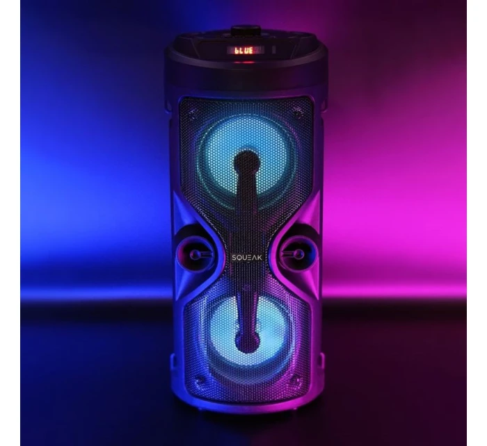 BLUETOOTH FM  USB model 21861635