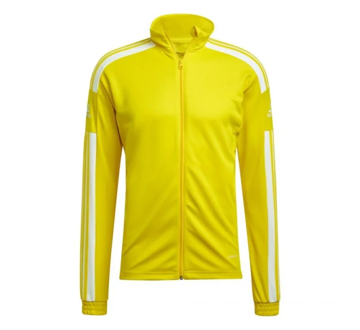 Pánske športové nohavice Squadra 21 Training M GP6465 - Adidas