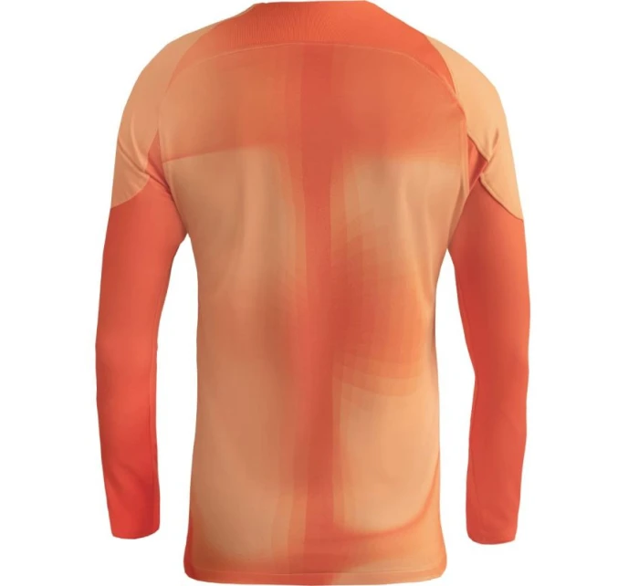 Pánské brankářské tričko IV JSY M model 17108368 - NIKE Pánské brankářské tričko IV JSY M model 17108368 - NIKE