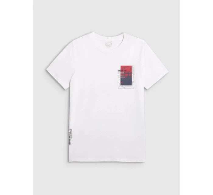 Pánské tričko s potiskem model 21907127 - 4F