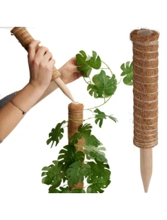 PODPORA PRE KOKOSOVÉ RASTLINY 30CM PROGARDEN