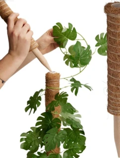 PODPORA PRE KOKOSOVÉ RASTLINY 30CM PROGARDEN