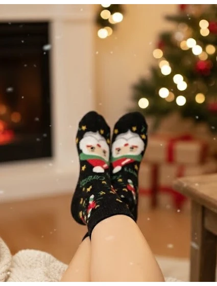 model 21774942 Vánoční ponožky 3542 A'2 - WiK