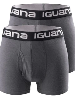 2Pack M boxerky model 21405188 - Iguana