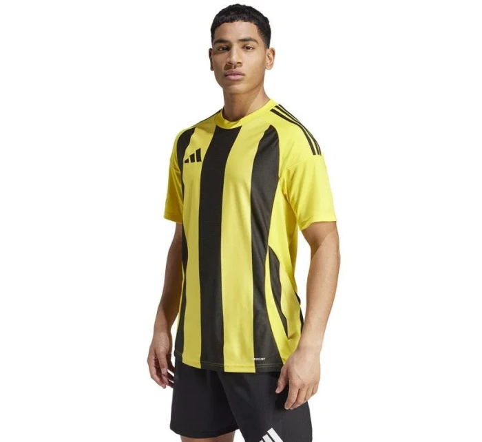 Adidas Striped 24 JSY M IW2146 tričko