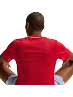 Pánske tričko Nike Dri-Fit Park 26 SS Top Red HM7127 657 Pánske