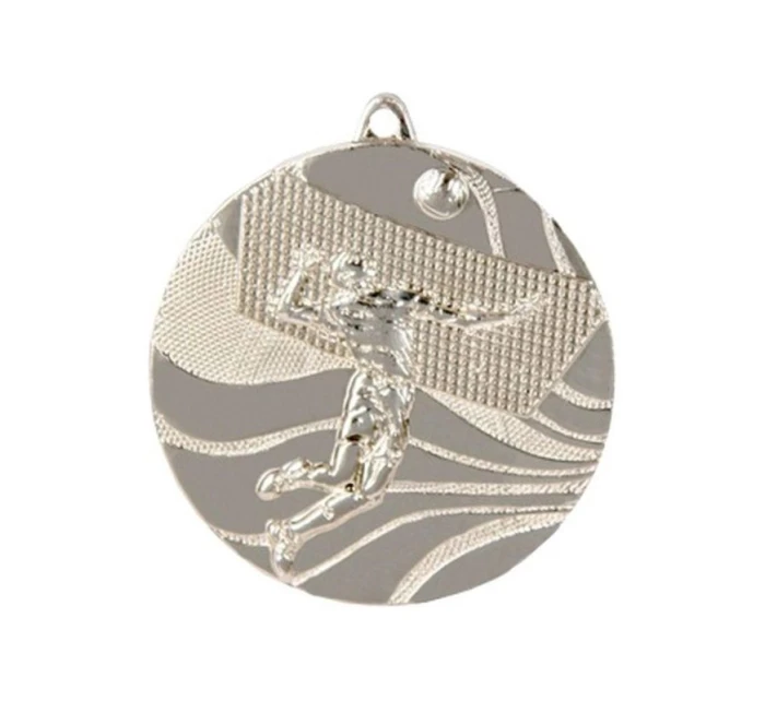 medal model 21829761