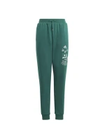 Adidas BLUV Q3 Pant Jr IA1553