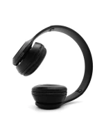 BLUETOOTH DO  BT model 21862561