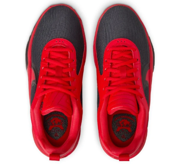 Basketbalová obuv Nike Giannis Freak 6 (GS) Jr FQ7378-004