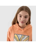 Mikina Jr model 20084096 - 4F