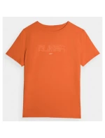 Pánske tričko 4F M 4FAW23TTSHM0865-70S