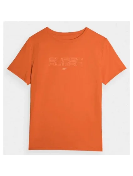 Pánske tričko 4F M 4FAW23TTSHM0865-70S