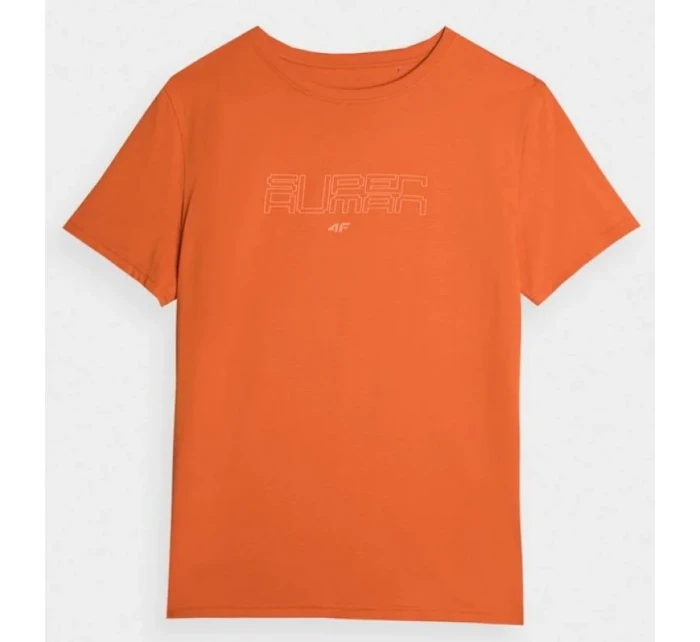 Pánske tričko 4F M 4FAW23TTSHM0865-70S