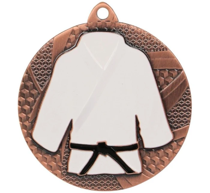 Bronzová medaila v džude/karate