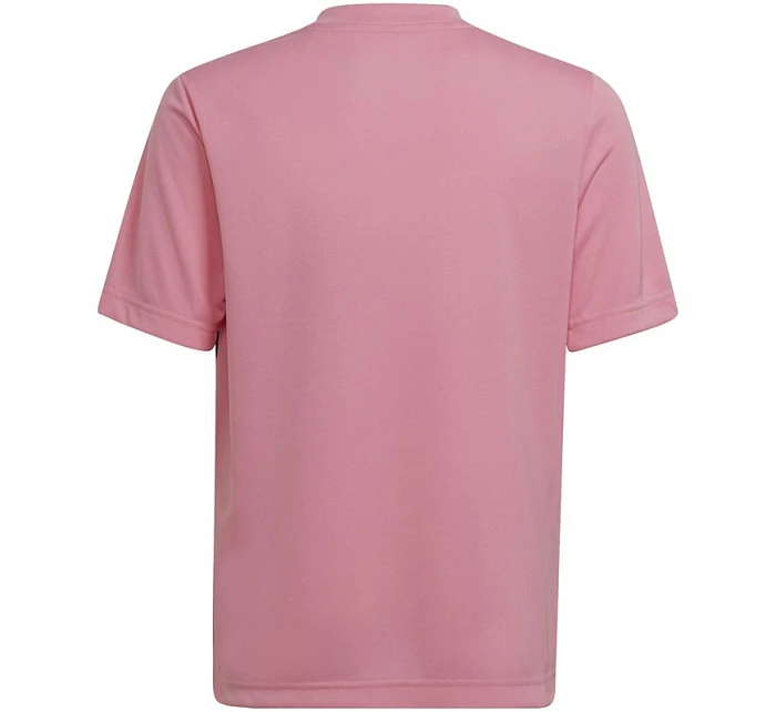 Entrada 22 Graphic Jersey Jr HC2632 - Adidas