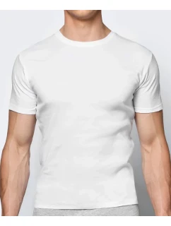 Pánské tričko model 20839734 - Atlantic