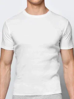 Pánské tričko model 20839734 - Atlantic