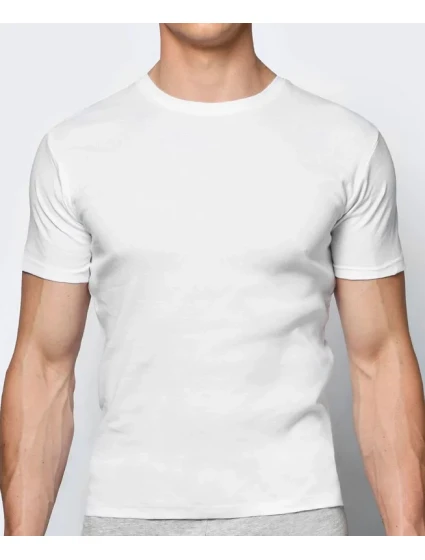 Pánské tričko model 20839734 - Atlantic