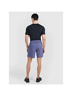 Pánské rychleschnoucí tréninkové šortky model 22071400 - 4F
