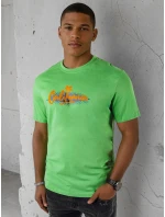 Pánské zelené tričko s potiskem Dstreet model 21973613 - FashionStreet