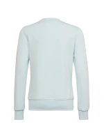 Dětská mikina Big Logo Jr model 17732666 - ADIDAS Dětská mikina Big Logo Jr model 17732666 - ADIDAS