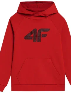 Dětská mikina Jr model 18338781 62S - 4F