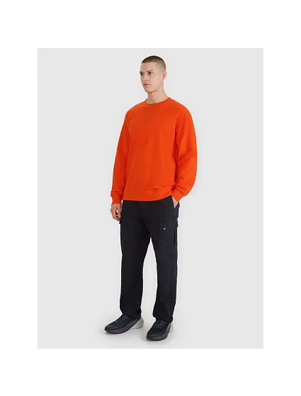 Pánská mikina s kapucí model 21436687 pánské - 4F