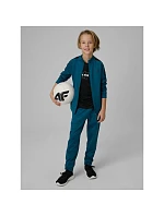 Chlapecká sportovní mikina s kapucí model 22151636 - 4F