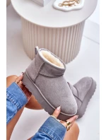 Dámské Sněhule Na Platformě Zateplené Kožíškem Šedé model 21672076 - Boto