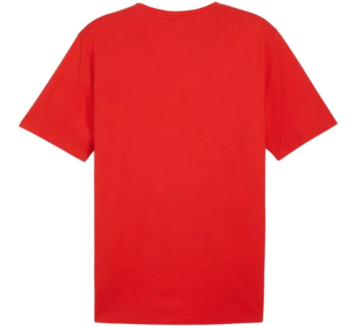 Puma Team Rise Logo Jersey Cotton M 658705 01 Pánske