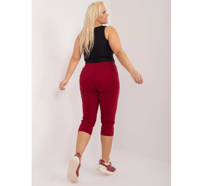 Spodnie AT SP model 19658687 bordowy - FPrice Spodnie AT SP model 19658687 bordowy - FPrice