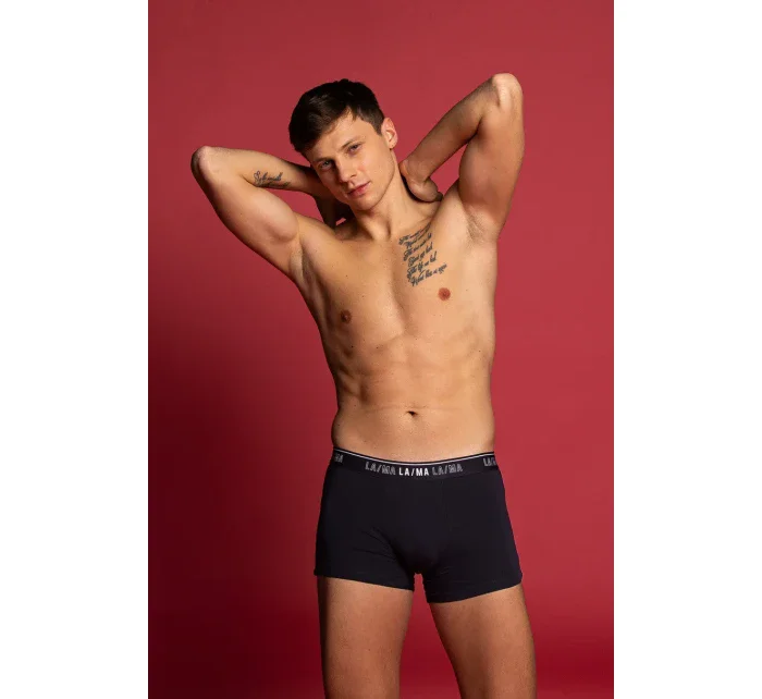 PÁNSKE ŠORTKY M-1021SZG 3PACK