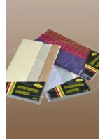 Pánské kapesníky  kusy model 21096977 - EGA