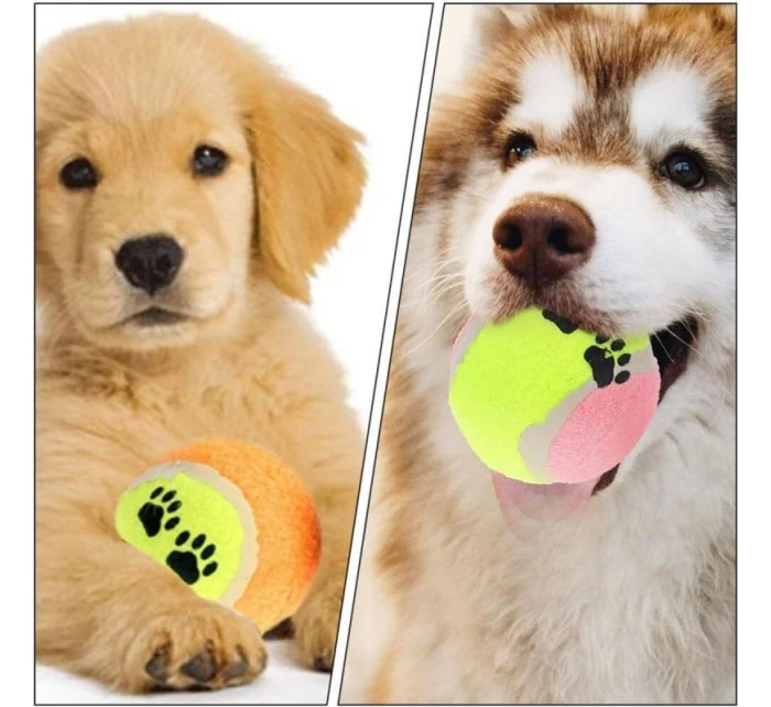 TENISOVÁ LOPTIČKA PRE PSOV 5KS