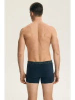 PÁNSKÉ ŠORTKY 2PACK DLOUHÉ model 21902124 - Henderson