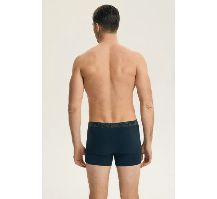 PÁNSKÉ ŠORTKY 2PACK DLOUHÉ model 21902124 - Henderson