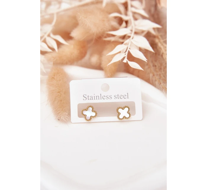 Náušnice z nerezové oceli model 21772378 - Boto