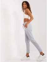 Spodnie dresowe RV DR model 19381472 szary - FPrice