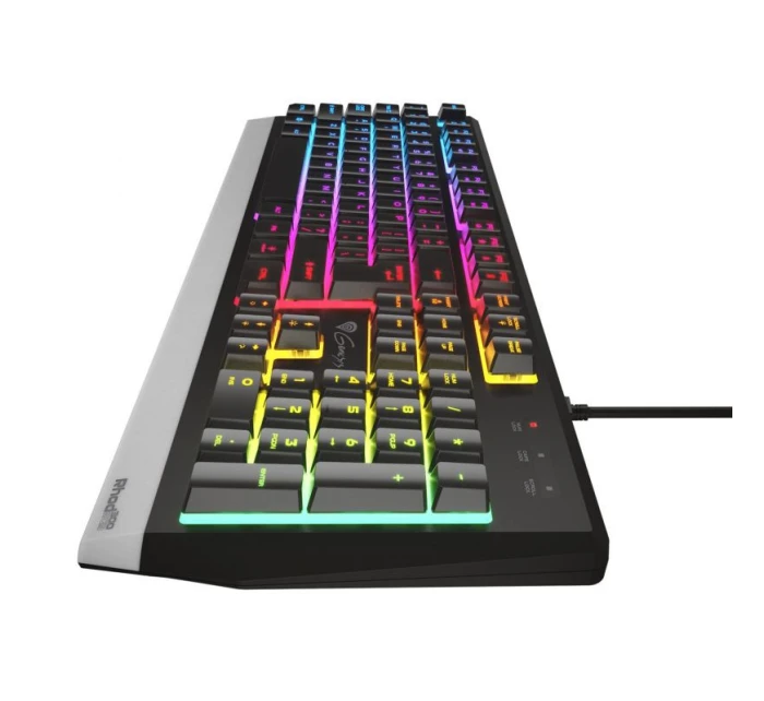 HERNÍ  300 RGB US model 21336007 - Genesis