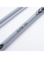 Palice ALPINE SKI II Palice ALPINE SKI II