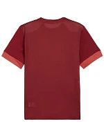 Pánsky dres Puma teamGoal Matchday Jersey burgundy 705747 09 pánsky Pánsky dres Puma teamGoal Matchday Jersey burgundy 705747 09 pánsky