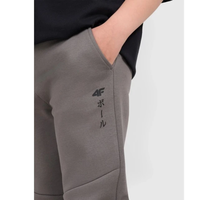 Chlapecké tepláky  model 21736566 - 4F