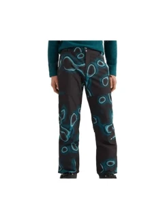 Lyžiarske nohavice O'Neill Hammered M 2550020-35033