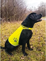 – Bezpečnostní vesta pro hi vis yellow model 22411254 - Korntex – Bezpečnostní vesta pro hi vis yellow model 22411254 - Korntex