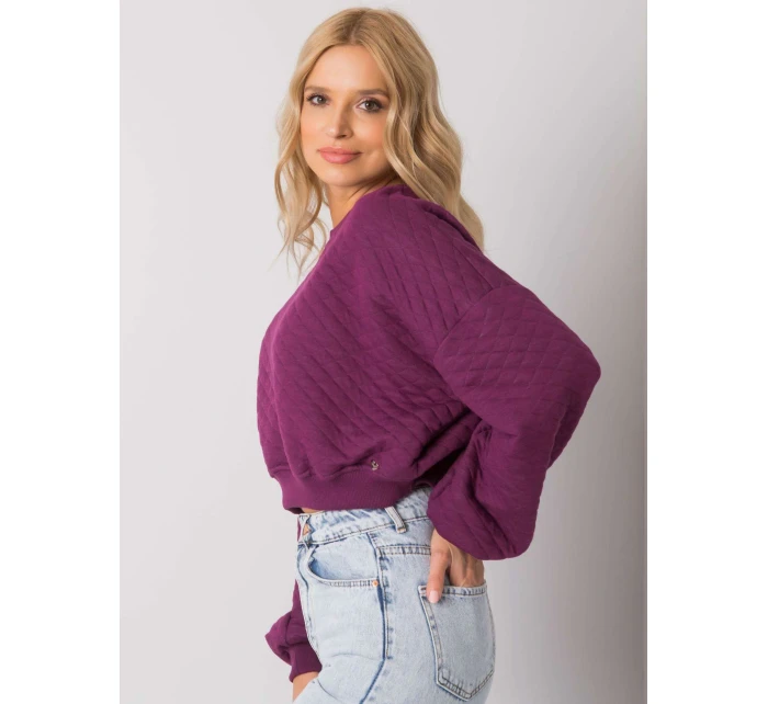 Mikina RV BL 7450.64 tmavo fialová Mikina RV BL 7450.64 tmavo fialová