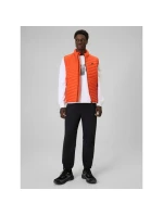 Pánská mikina bez kapuce model 21877664 - 4F Pánská mikina bez kapuce model 21877664 - 4F